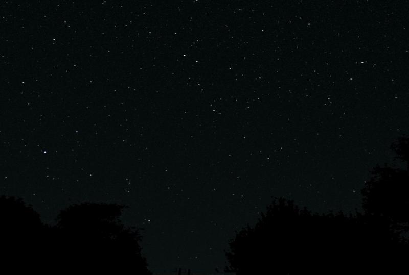Capricornus, Piscis Aus & Microscopium