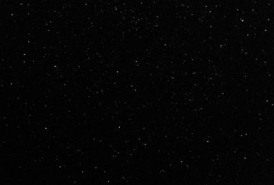 u25/rmaruzzi/medium/39942882.Pegasus_21mm_11x10_XVG_DD.jpg