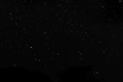 u25/rmaruzzi/medium/39942891.PiscisAus_31mm_6x10.jpg
