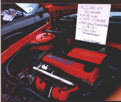 R Diogo's Shelby Red-Blue PBD Valve Cover