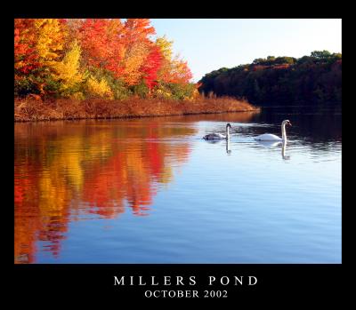 Millers Pond copy.jpg