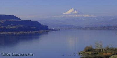 Columbia River Gorge with Mt Hood IMG_0420