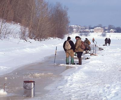 Local fishermen