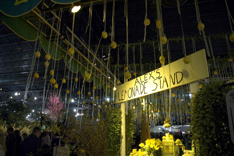 lemonade stand