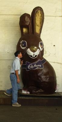 Cadbury rabbit