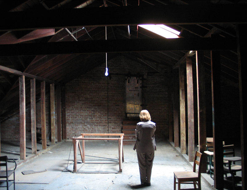 Attic light