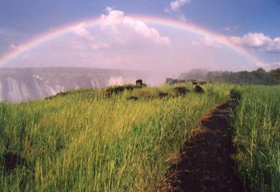 Path Under the Rainbow