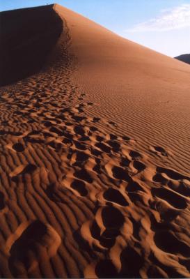 Dune 45 Footprints