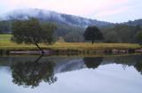 Lower mangrove