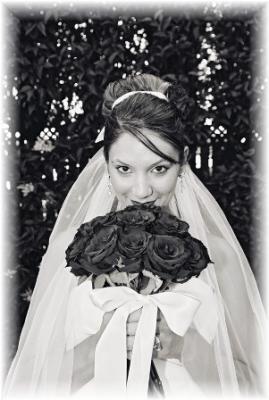 Signature Prints Photography