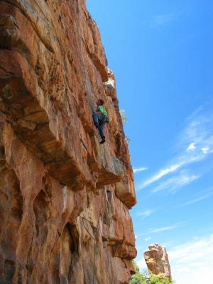 IMG_3927 copy.jpg