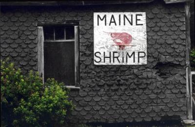 Rural Maine