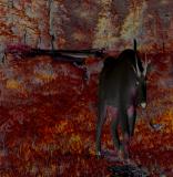 hellgoat.jpg