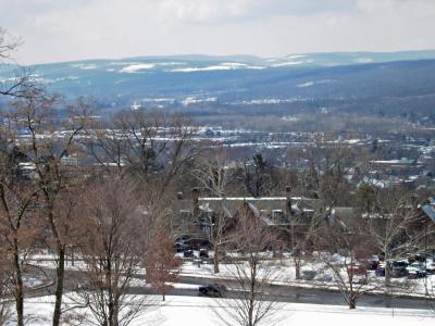 A southwest view over some of Cornell's many fraternity houses.