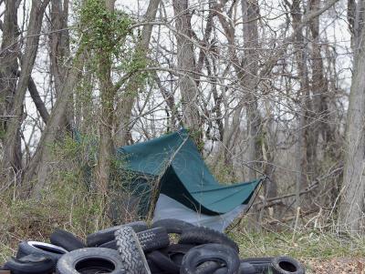 Scout Camp at Wye Island