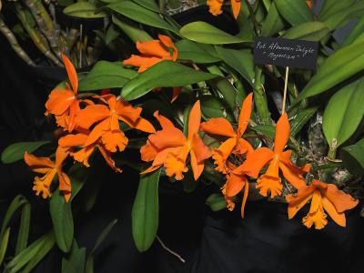 V0010650.jpg