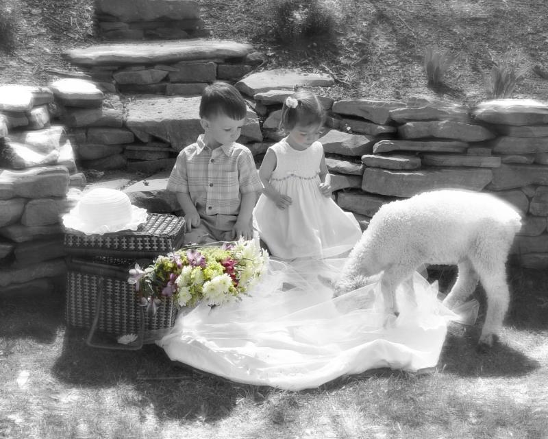 <p align=center> <b> The Lamb </b> <br> <font size=1> by Twinmom707</font> </p>