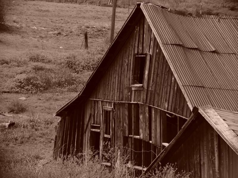 <B>The Real Me - Born too late</B><br><I><FONT SIZE=1>by Todd McClintic</FONT></I>