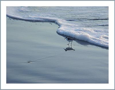 Along The ShoreBy Mark J
