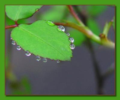 Necklace of Raindropsby Faye White