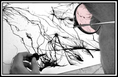 Through the Artists Eye.      Fremiet