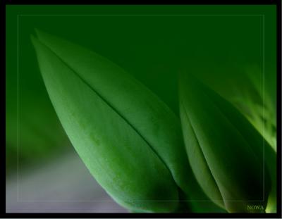 nEwness      by irish_eye