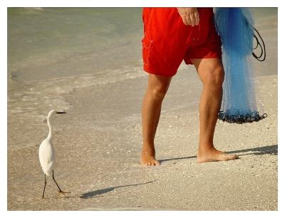 Fishing Buddiesby Bev Brink