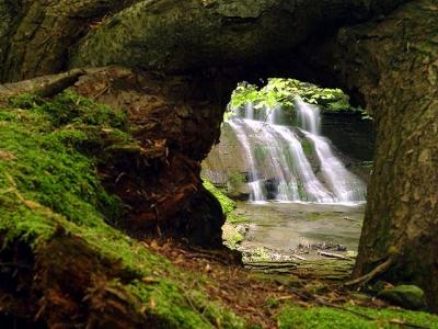4rd Falls...Framed by Nature, Herself