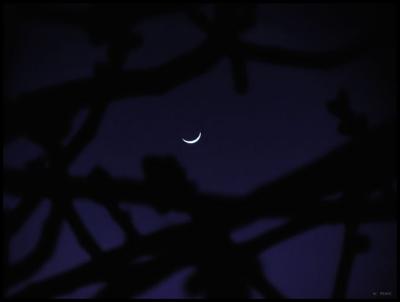tonite's new moon