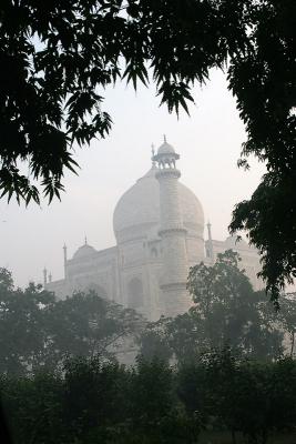 Taj Mahal Framed by the Shrubbery*by Terry Straehley