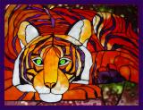 <B>Tiger Tiger</B><BR><FONT size=2>by Ann Chaikin</FONT>