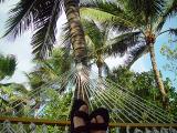 <b>A Sling Shot </b><br><font size=1>by Michael Buckman