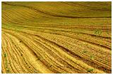 3rd - <b>Ploughed</b><br><font size = 1>By Jon M</font>