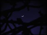 tonites new moon