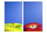 Apple Frame by Miguel Garcia-Guzman