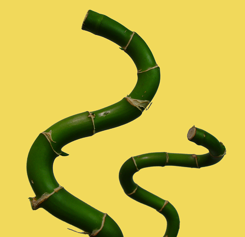 <p align=center> <b> Unnatural Curves </b> <br> <font size=1> by Helen Betts </font> </p>