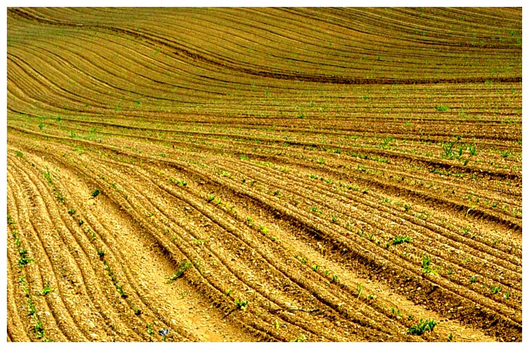 3rd - <b>Ploughed</b><br><font size = 1>By Jon M</font>