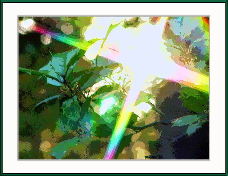 <b>*Photosynthesis*</b><br><font size=1> by Joe Reilly
