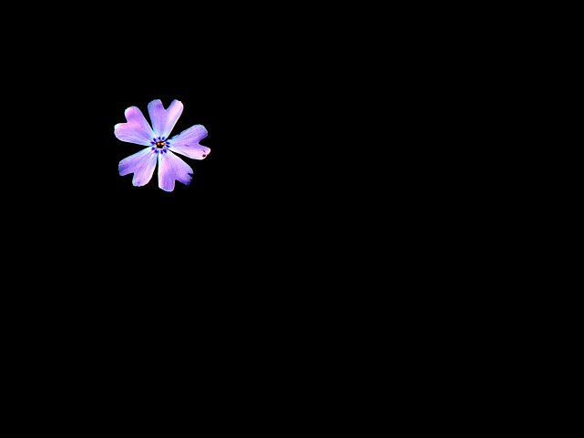 <b>On the Water</b><br><font size=1>by Shutter</font size>