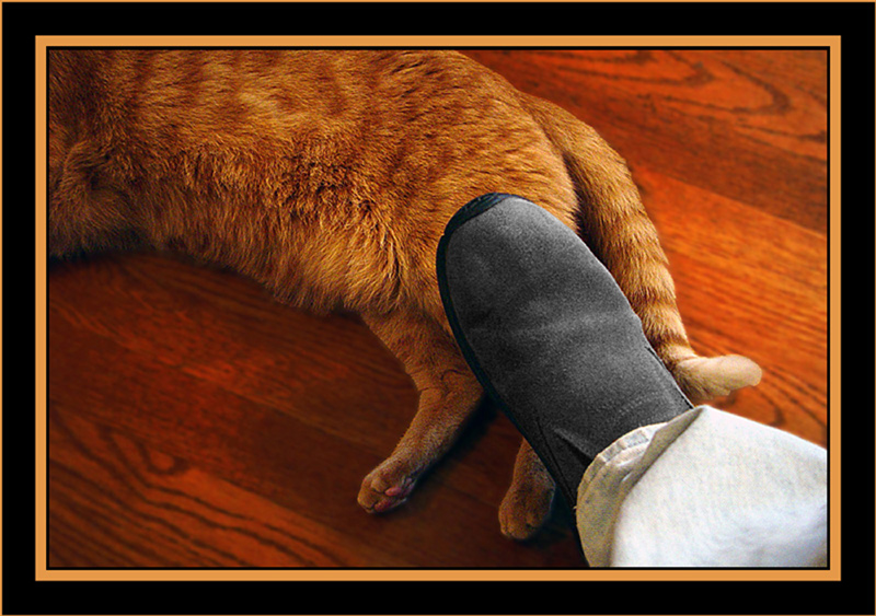Always Underfoot* <br> by Deb