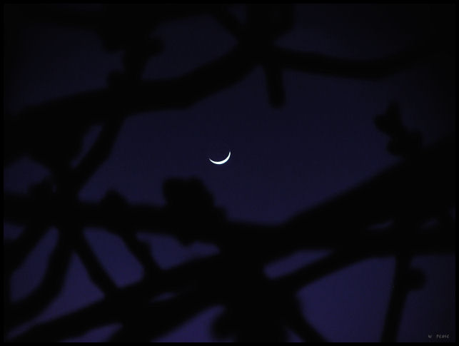 tonites new moon