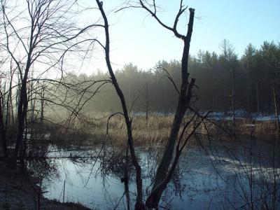 DSC04275 copy.jpg