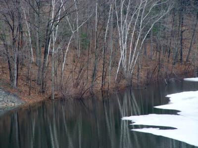 Image112_02.jpg