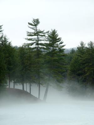 Image124_02.jpg