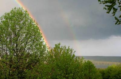 Spring rainbow, 2003