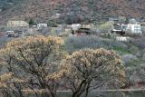 Jerome (old mining town undergoing revival)
