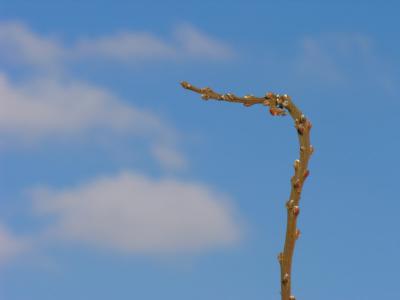 DSCN1678.JPG