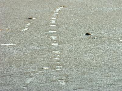 Skidding stones on a frozen lake