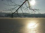 Lake Greifensee, frozen