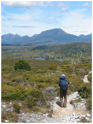 Overland Track (4)